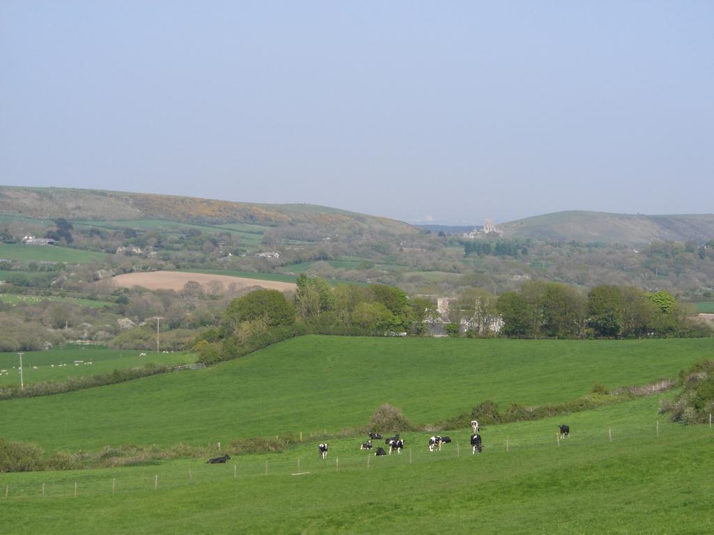 Bradle Farmhouse Corfe Castle Εξωτερικό φωτογραφία